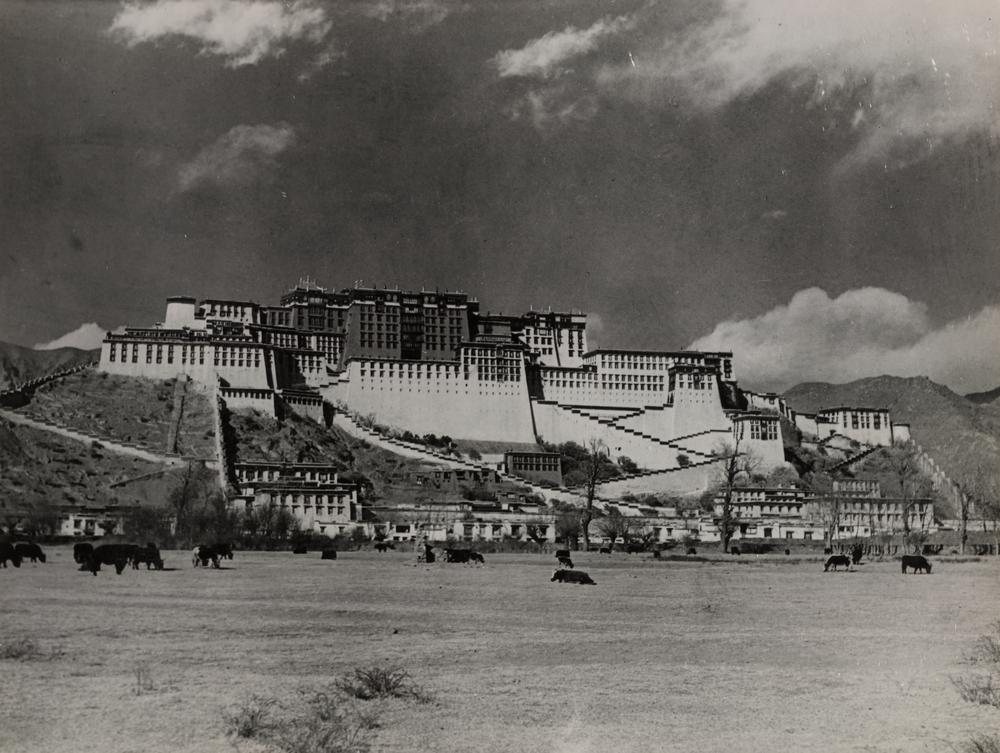 图片[1]-photographic print(black and white); album BM-1986-0313-0.1.1-China Archive